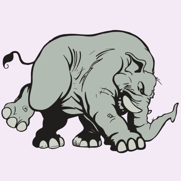 AR5 Elephant 08 RQC Thumbnail