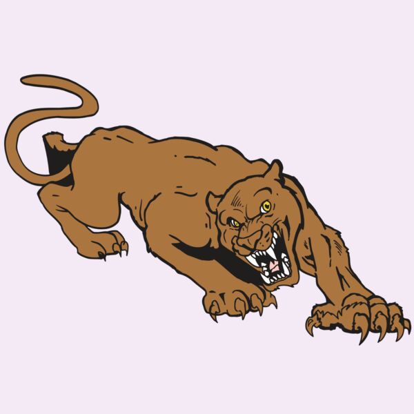 AR5 COUGAR 41 RQC Thumbnail