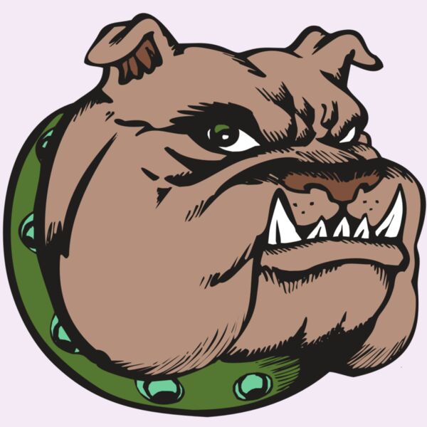 BAW BULLDOG 14 RC Thumbnail