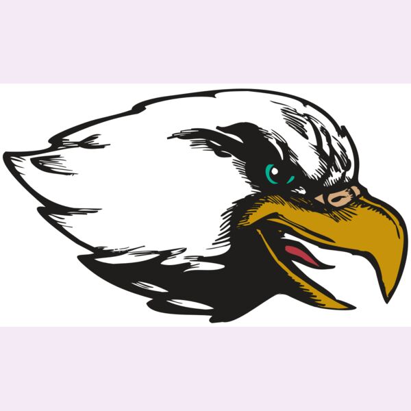 BAW EAG 09 RC Thumbnail