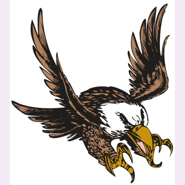 BAW EAG 05 RC Thumbnail