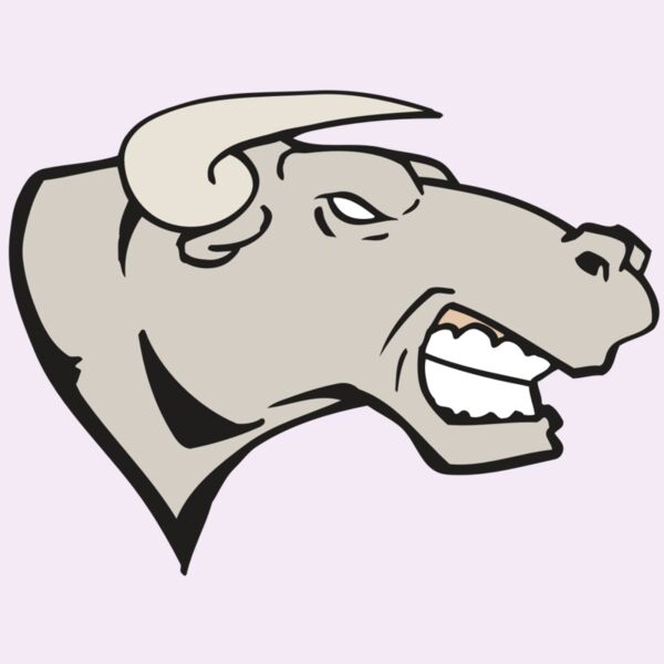 AR BULL 18 RC Thumbnail