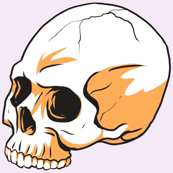 AR24 SKULL 13 RQC Thumbnail