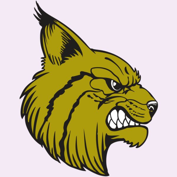 BAW BOBCAT 16 RC Thumbnail