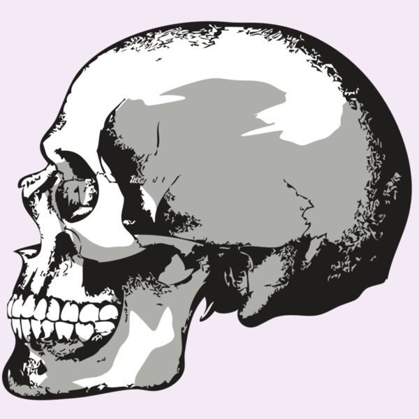 AR24 SKULL 02 RQC Thumbnail