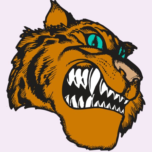 BAW TIGER 11 RC Thumbnail