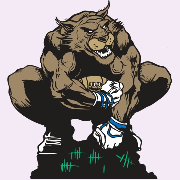 AR WILDCAT 34 RC Thumbnail