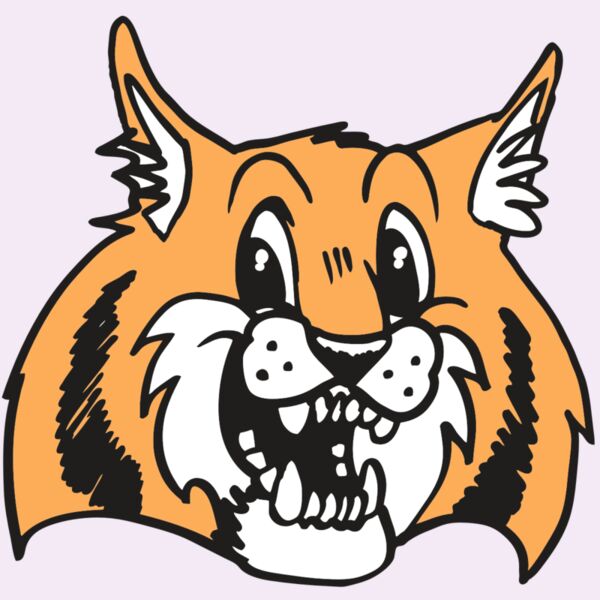 AR WILDCAT 13 RC Thumbnail