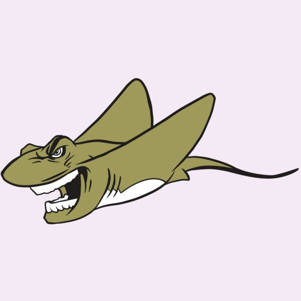 AR19 STINGRAY 07 RQC Thumbnail