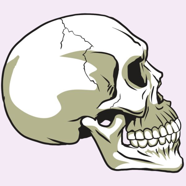 AR24 SKULL 12 RQC Thumbnail