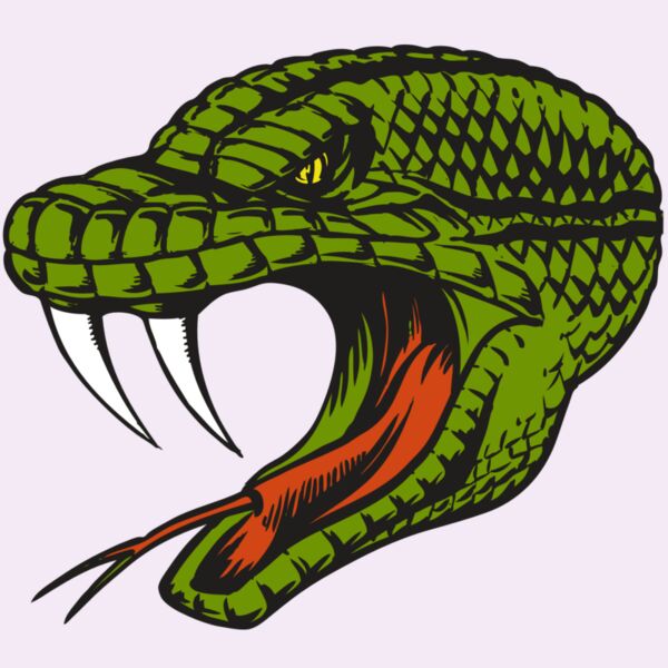 BAW SNAKE 14 RC Thumbnail