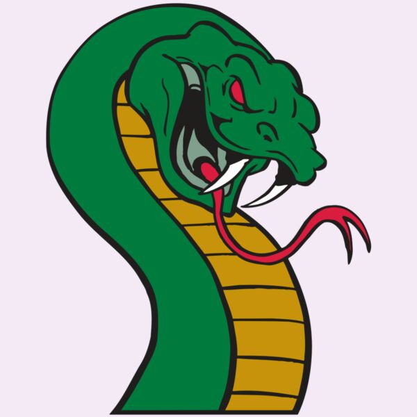 AR SNAKE 12 RC Thumbnail