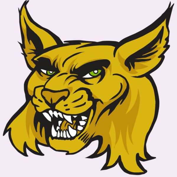 AR30 WILDCAT 03 RQC Thumbnail