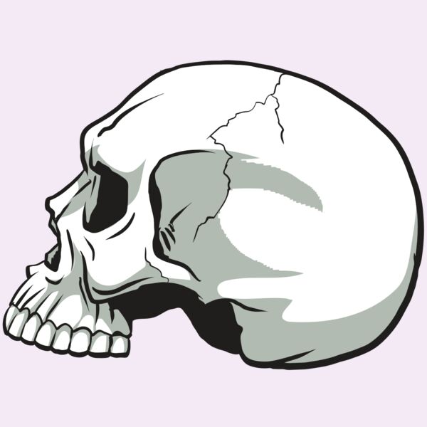 AR24 SKULL 11 RQC Thumbnail