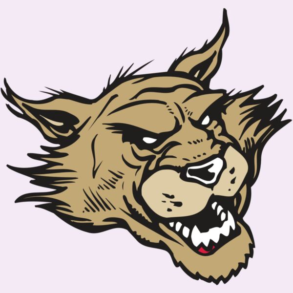 AR WILDCAT 39 RC Thumbnail