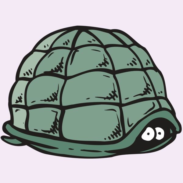 AR5 Turtle 10 RQC Thumbnail