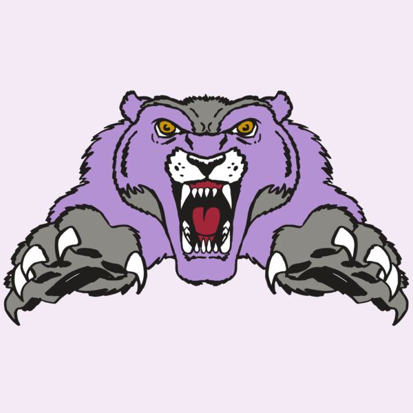 AR WOLVERINE 17 RC Thumbnail