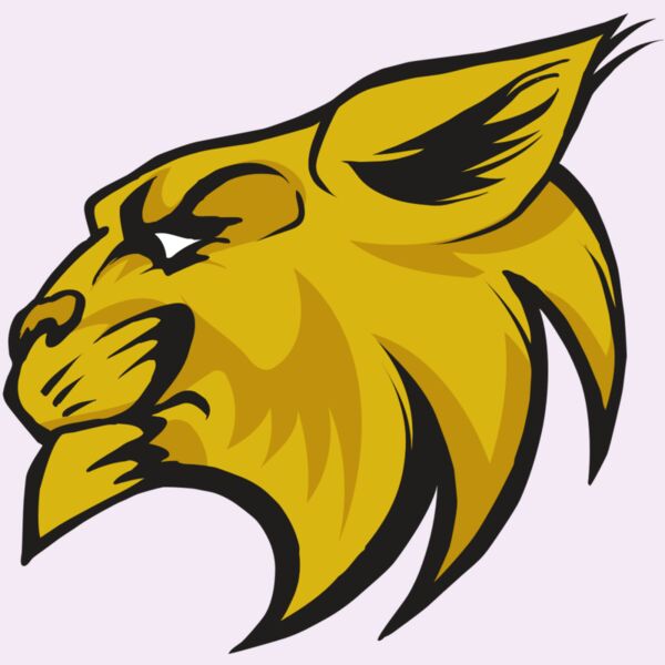 AR30 WILDCAT 02 RQC Thumbnail