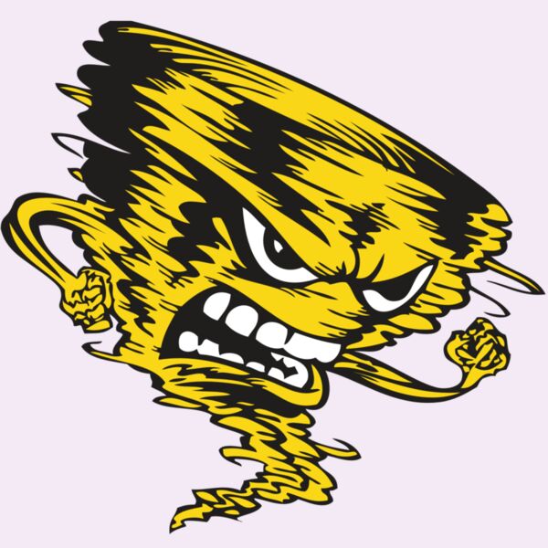 BAW STORM 08 RC Thumbnail