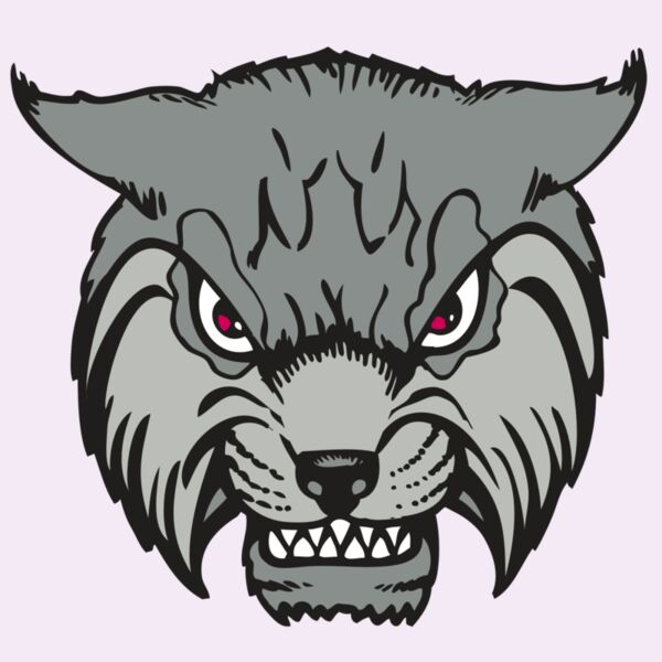 BAW BOBCAT 02 RC Thumbnail