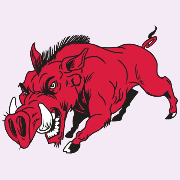 AR22 RAZORBACK 01 RQC Thumbnail