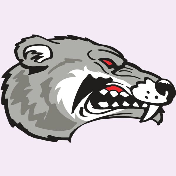 AR WOLVERINE 13 RC Thumbnail