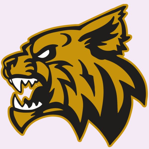 AR WILDCAT 16 RC Thumbnail