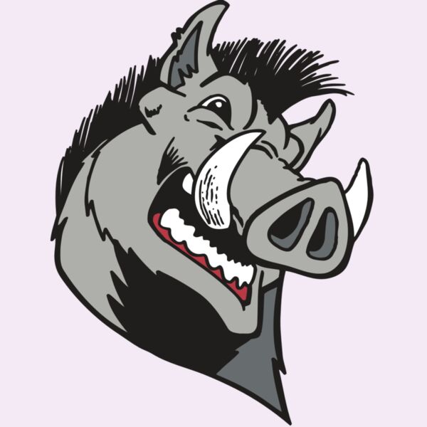 AR RAZORBACK 15 RC Thumbnail