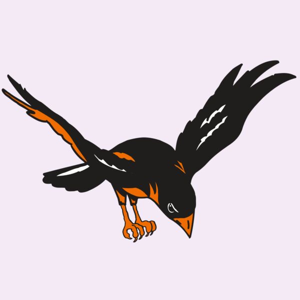 AR ORIOLE 16 RC Thumbnail