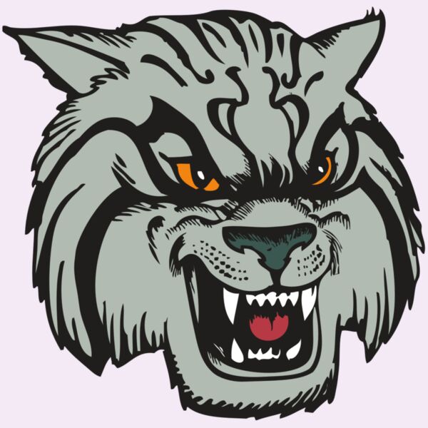 BAW WILDCAT 03 RC Thumbnail