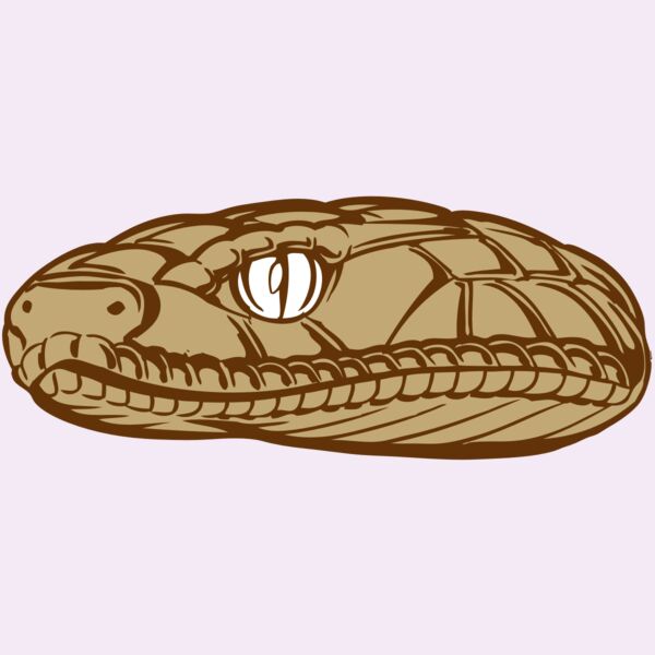 BAW SNAKE 12 RC Thumbnail