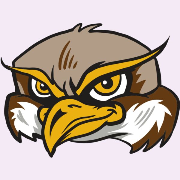 AR12 OWL 02 RQC Thumbnail