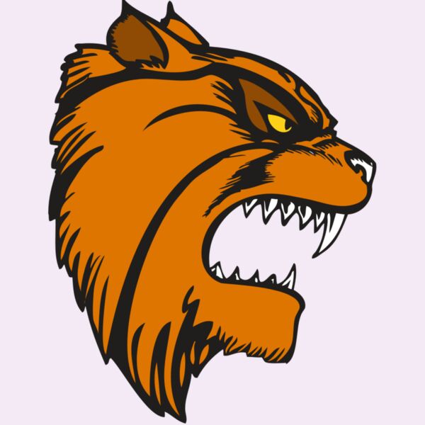 BAW WILDCAT 08 RC Thumbnail