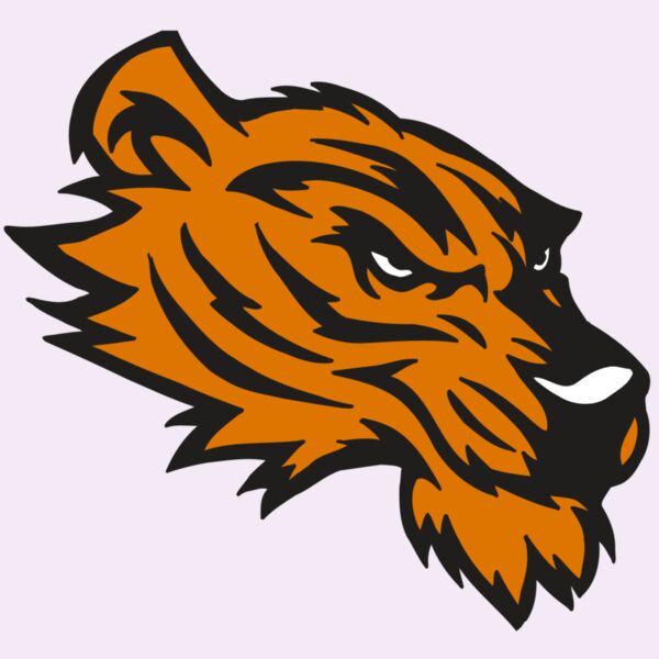 AR5 Tiger 05 RQC Thumbnail