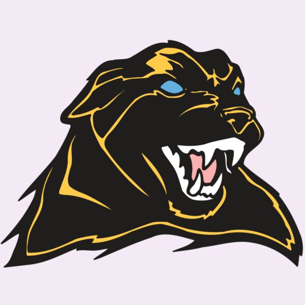 AR COUGAR 42 RC Thumbnail