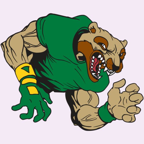 AR5 Wolverine 17 RQC Thumbnail