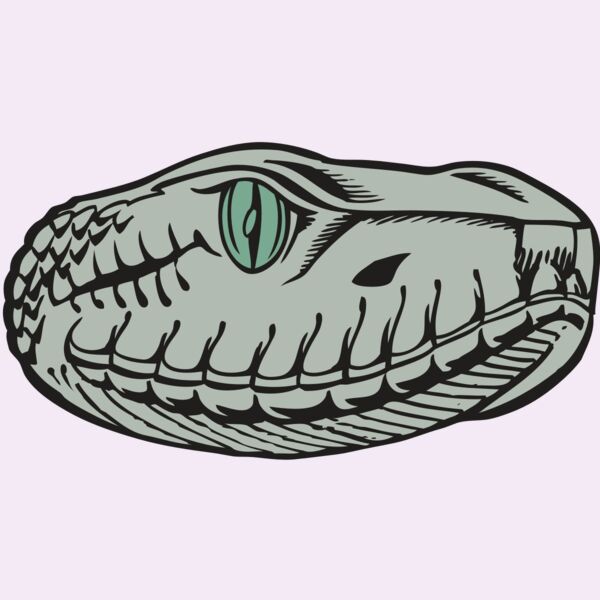 BAW SNAKE 10 RC Thumbnail