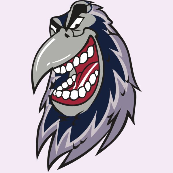 RAVEN HD0503 RQC Thumbnail