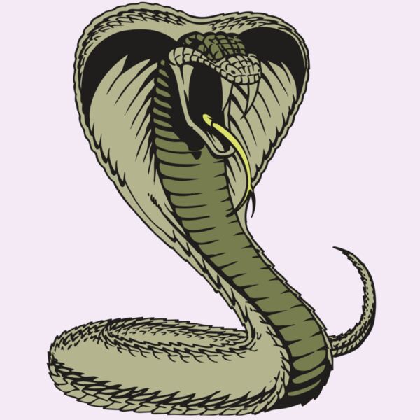 BAW SNAKE 07 RC Thumbnail