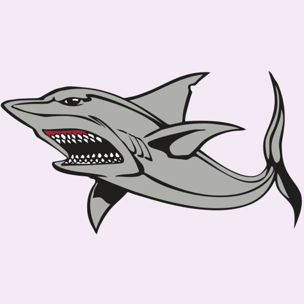 BAW SHARK 03 RC Thumbnail