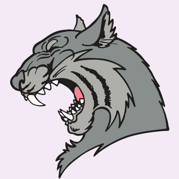 AR WILDCAT 41 RC Thumbnail