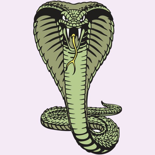 BAW SNAKE 15 RC Thumbnail