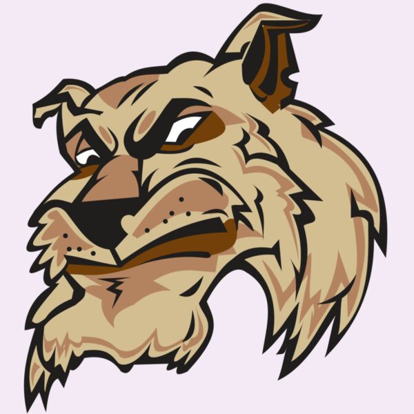 WILDCAT HD0501 RQC Thumbnail