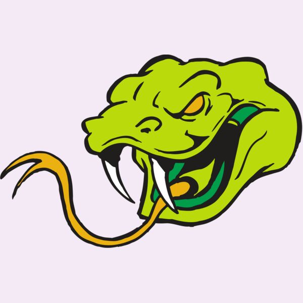 AR SNAKE 11 RC Thumbnail