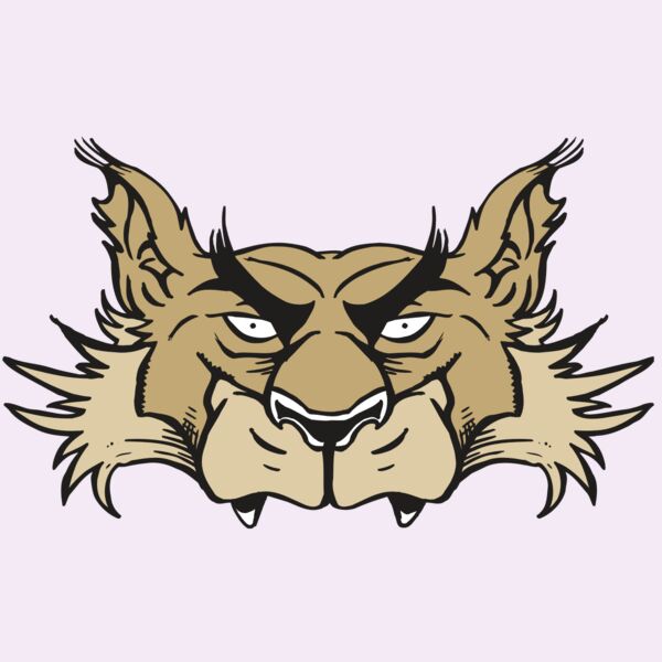 AR5 Wolf 28 RQC Thumbnail