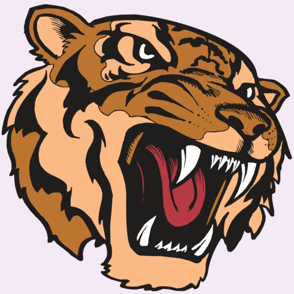 BAW TIGER 07 RC Thumbnail