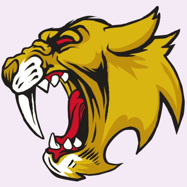 AR30 SABER 04 RQC Thumbnail