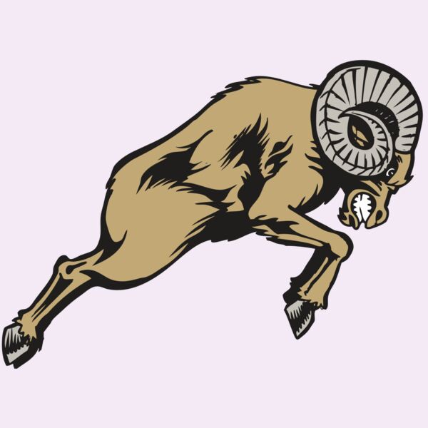 BAW RAM 04 RC Thumbnail