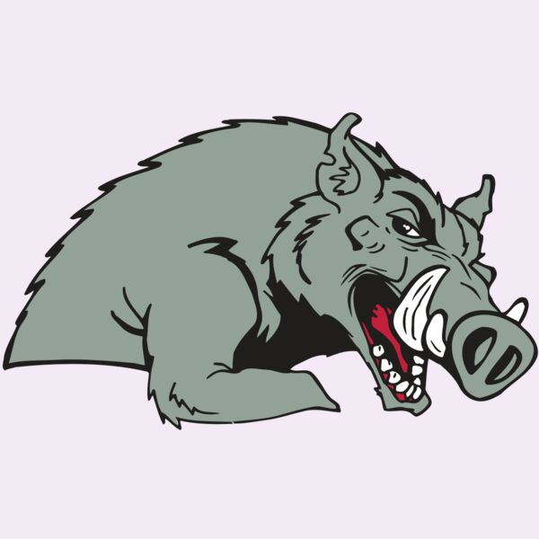 AR RAZORBACK 14 RC Thumbnail