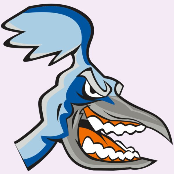 ROADRUNNER HD0504 RQC Thumbnail